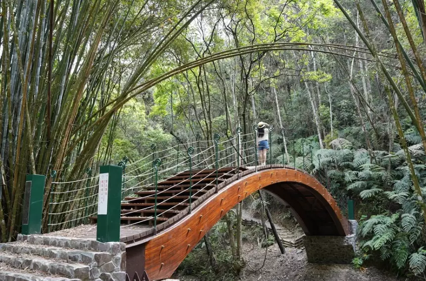 涩水森林步道难度