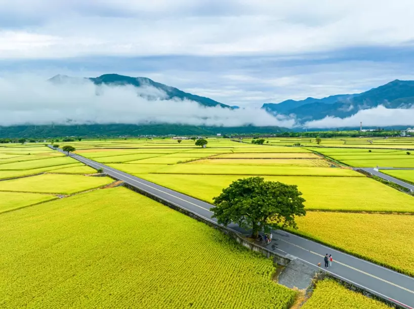 台灣必去景點