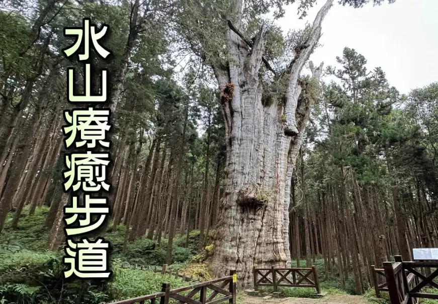 水山步道走多久