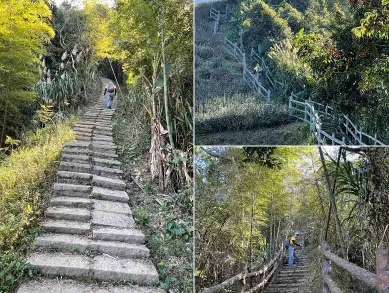 孝子路步道