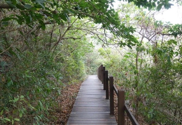 半屏山登山步道
