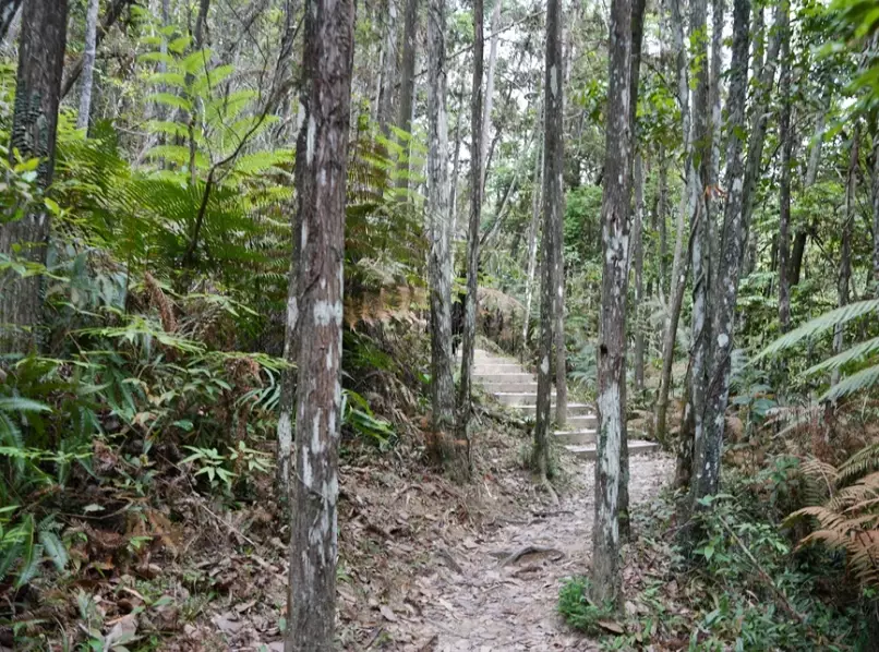 涩水森林步道难度
