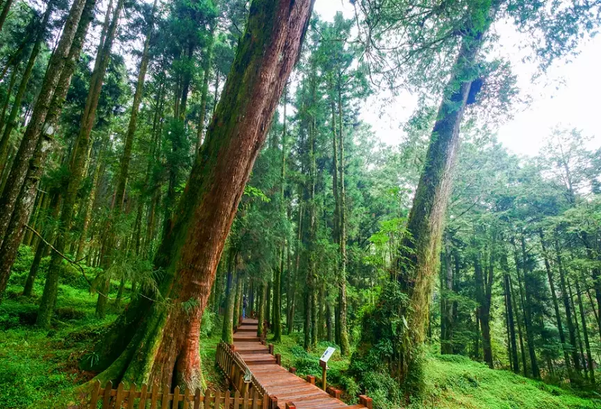 台灣旅遊景點推薦