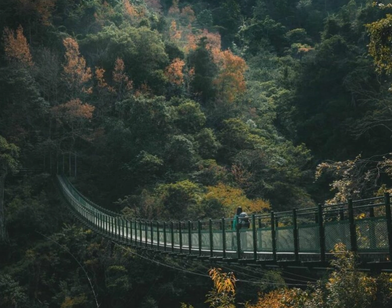 瓦拉米步道 預約