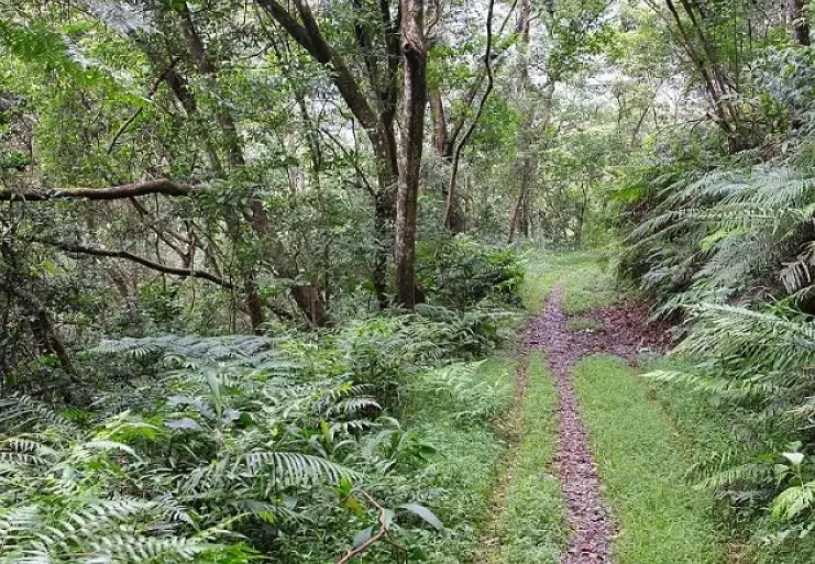 林美石磐步道
