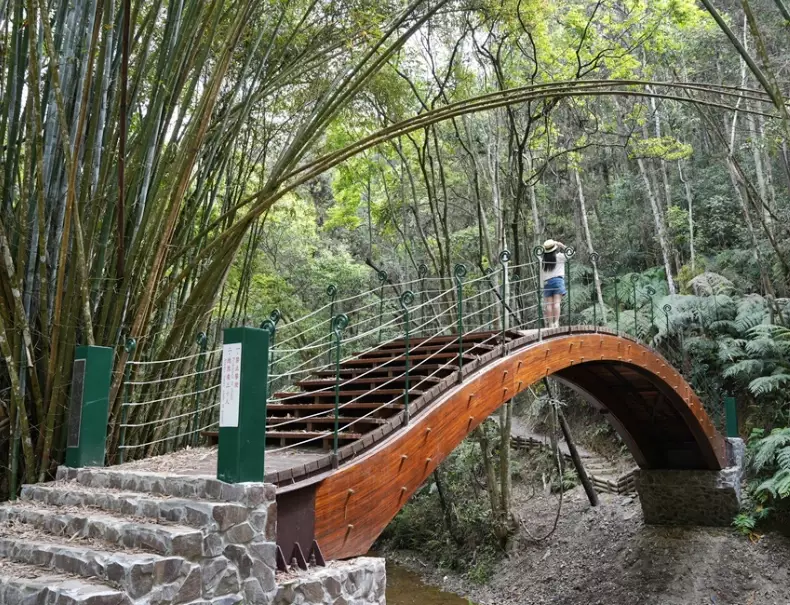 澀水森林步道