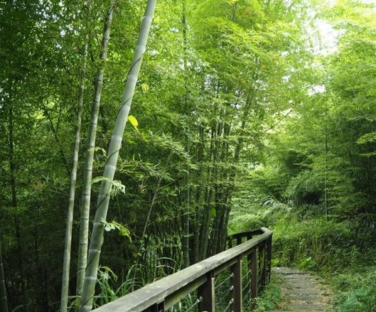 孝子路步道