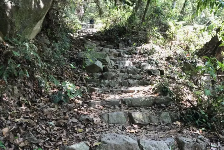 東卯山登山路線
