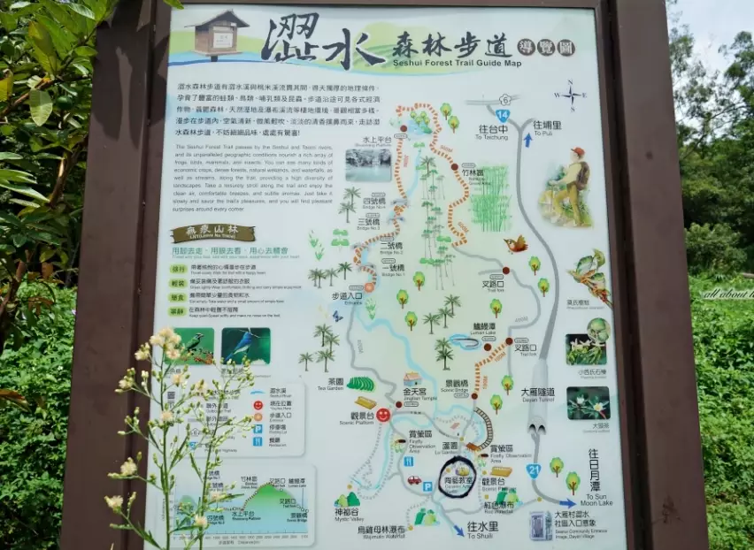 魚池鄉步道導覽