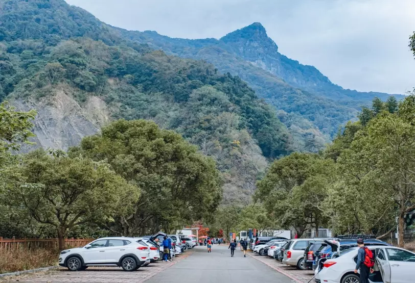 虎山停車