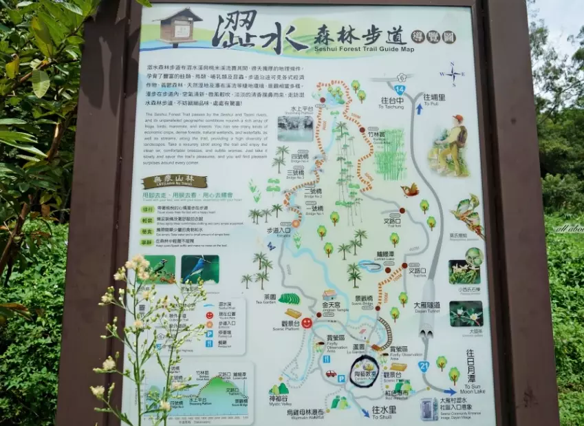 涩水森林步道地图