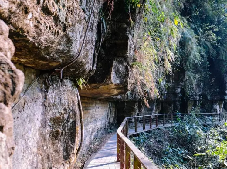 竹坑溪步道