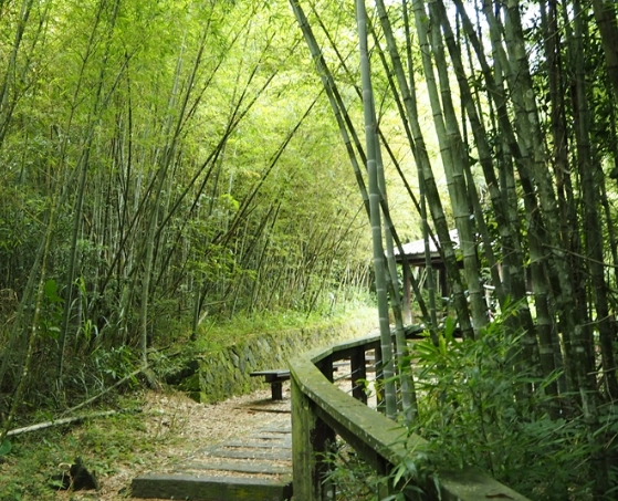 高雄健行步道