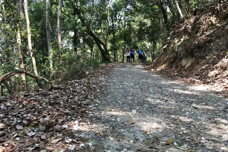 谷關七雄東卯山