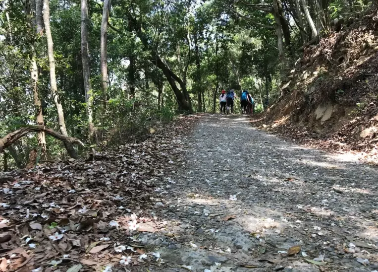 谷關七雄東卯山