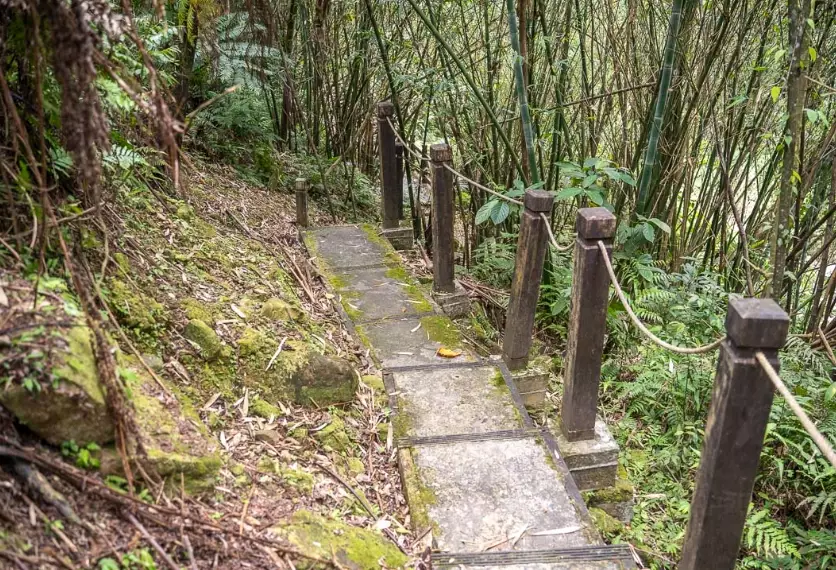 魚蕨步道 停車場