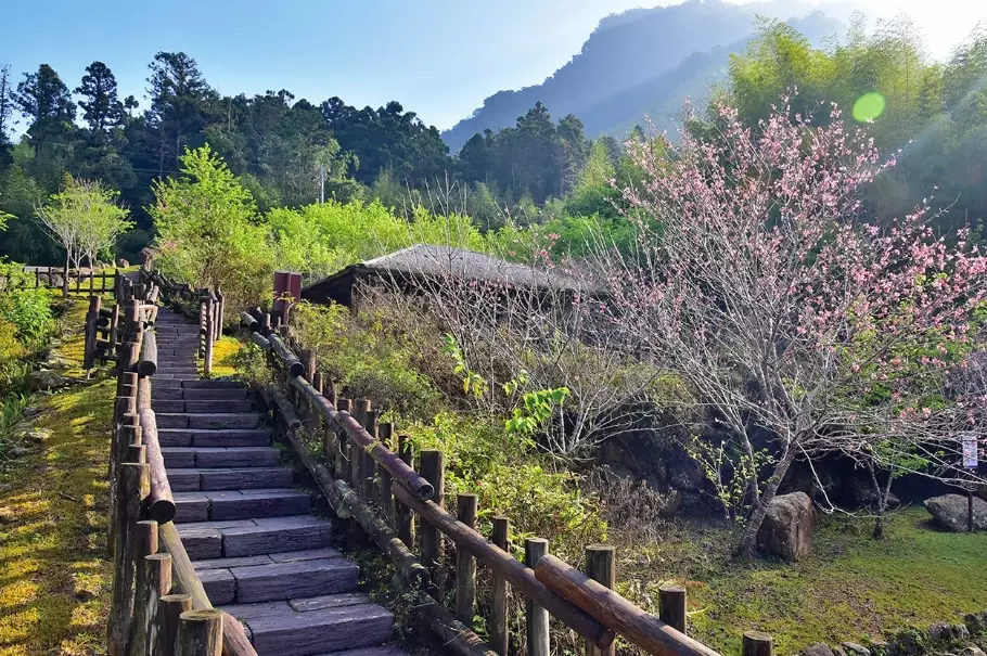 阿里山自駕