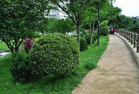中壢步道