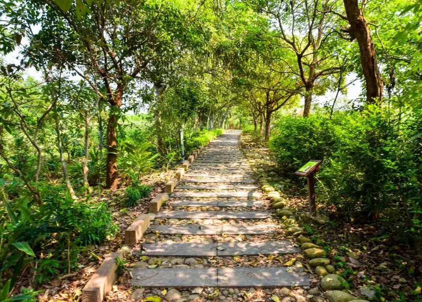 竹坑南寮登山古道o型