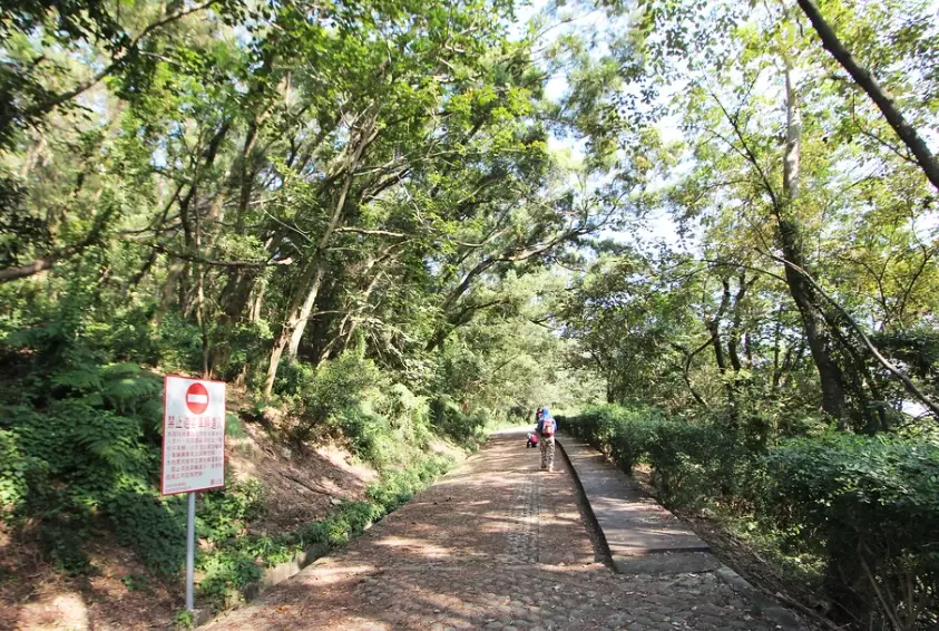 山林旅遊