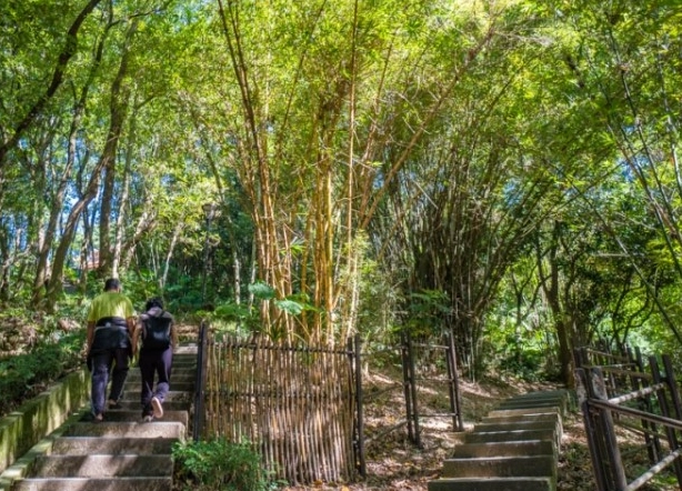 桃園親子步道