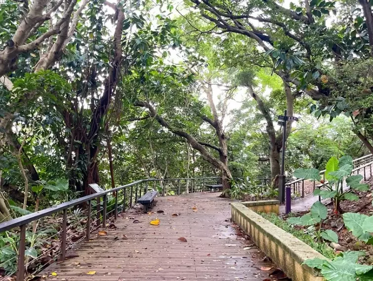 虎頭山公園怎麼去