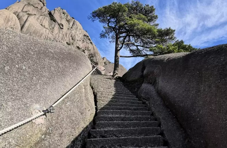 親子步道推薦