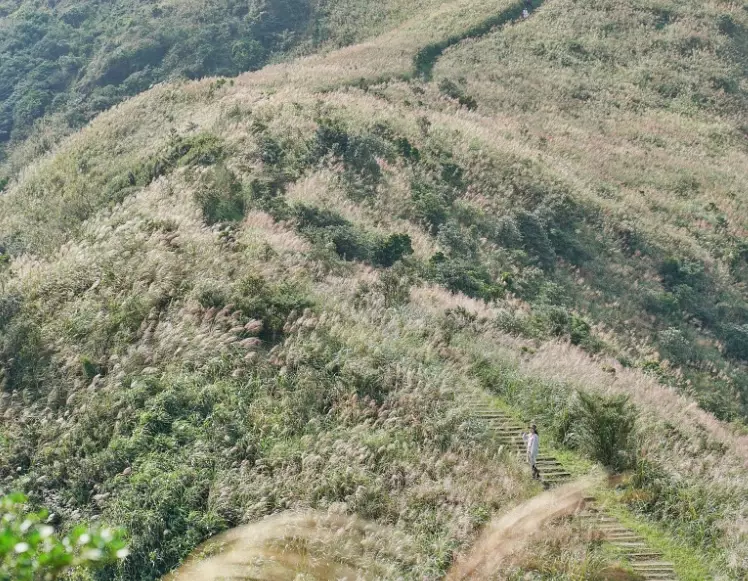 瑞芳景點交通方式
