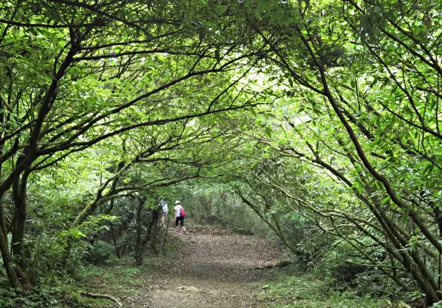 陽明山步道