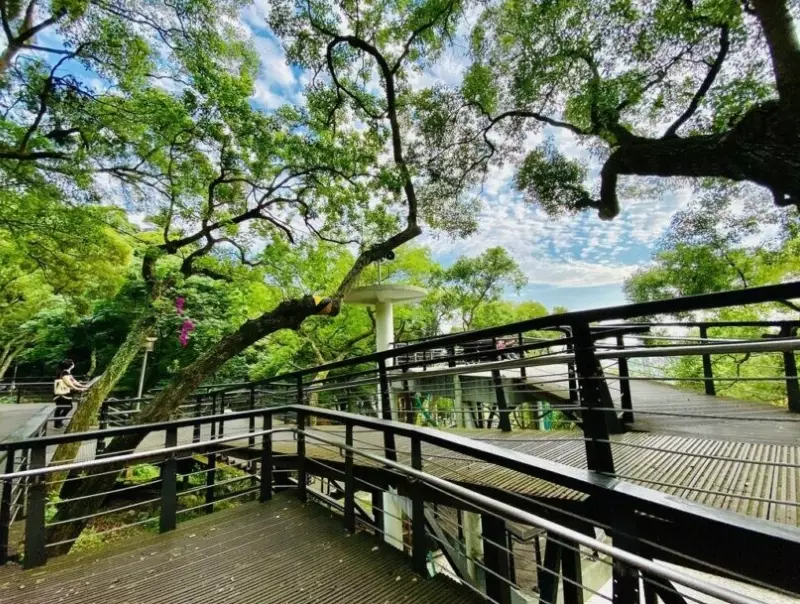 虎頭山公園怎麼去