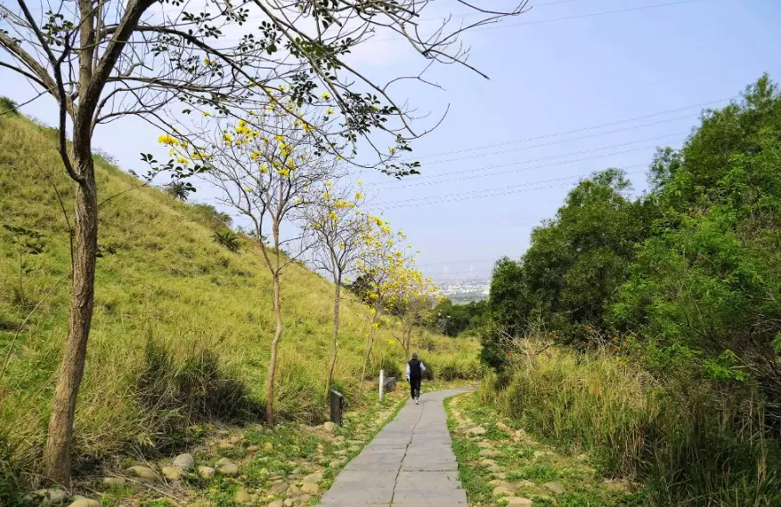 竹坑南寮o型