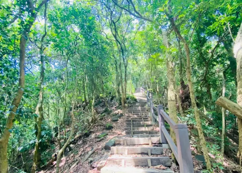 鈺鼎步道交通