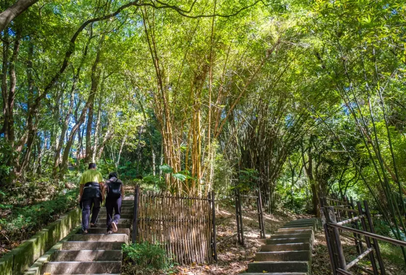虎頭山公園怎麼去