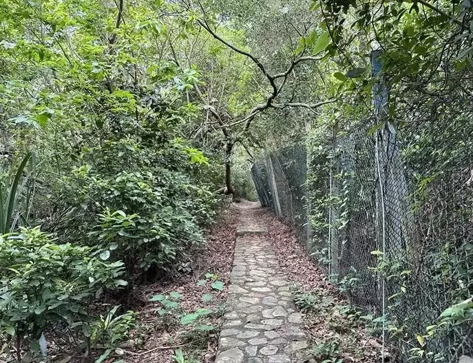 雲林健行路線