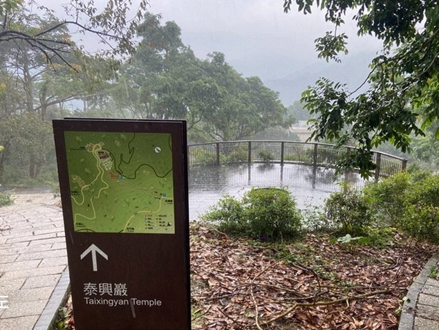 阿里山賞鳥