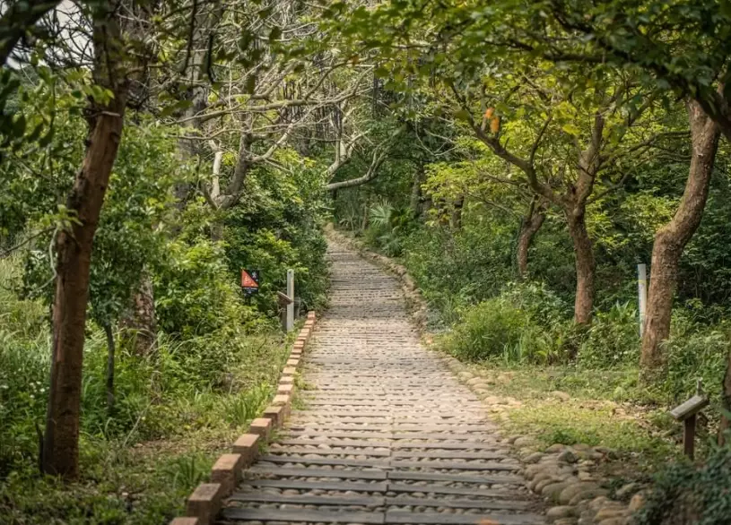 竹坑南寮登山古道