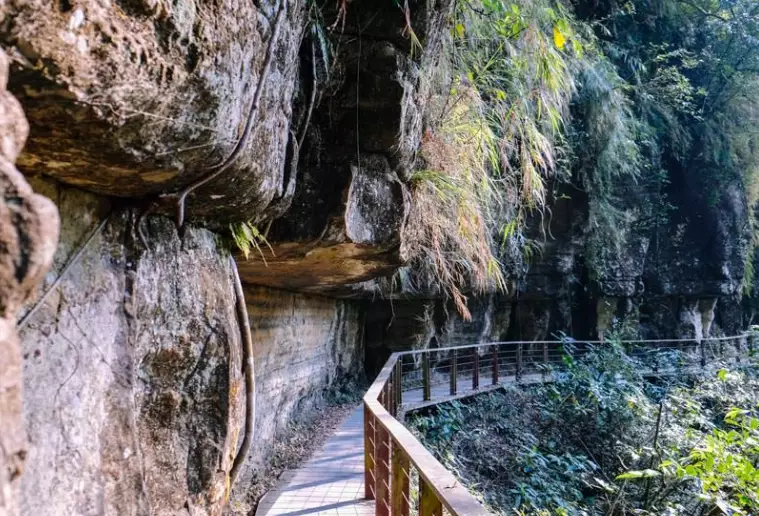 竹坑口步道交通
