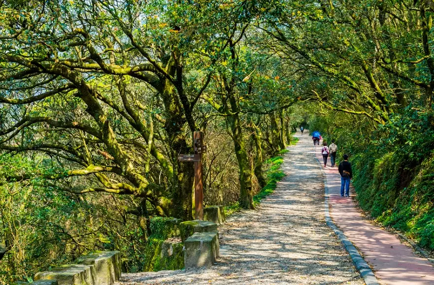 老人友善步道