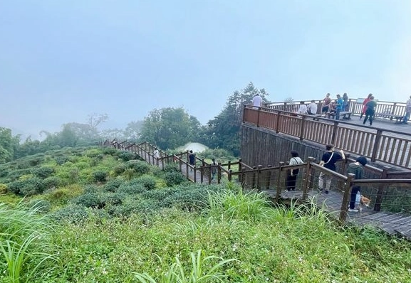 嘉義賞鳥地點