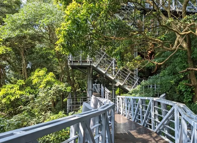 林梢步道餐廳