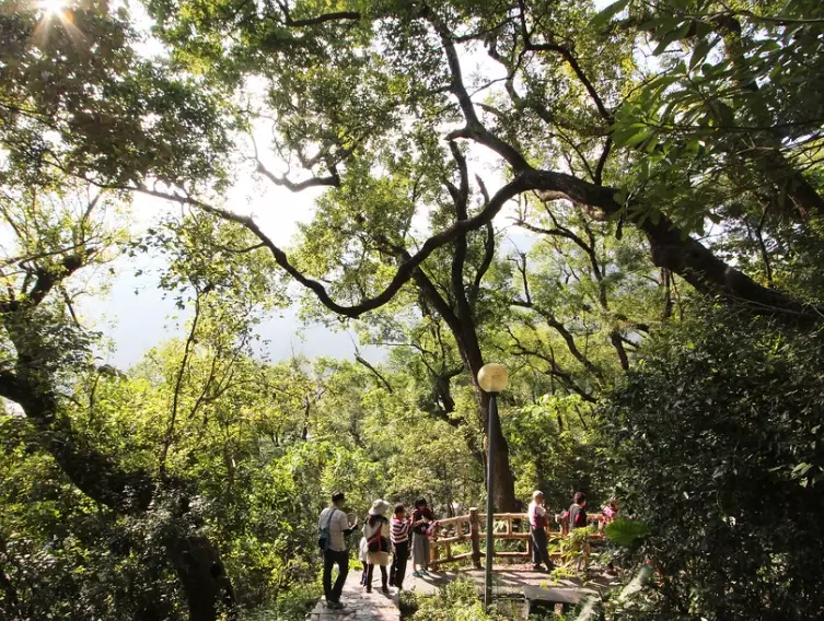 台灣步道健行