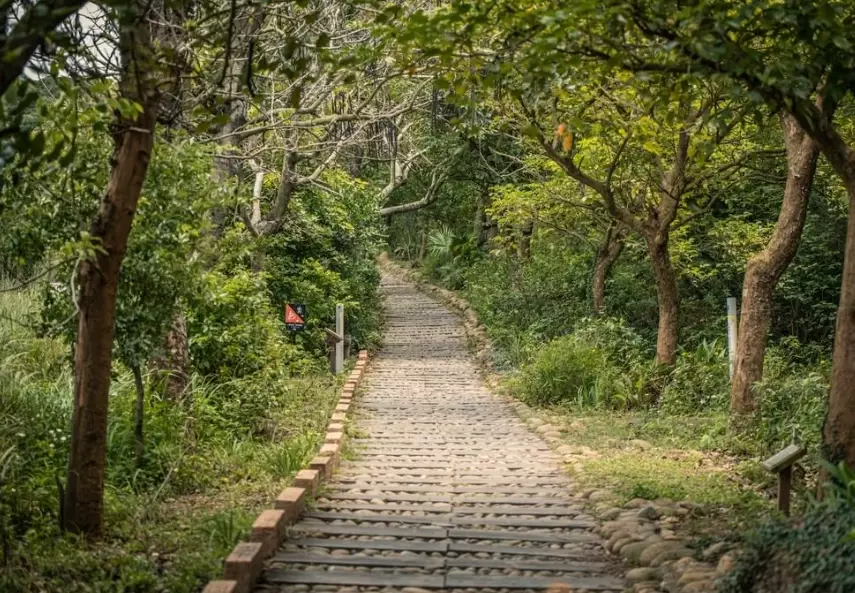 竹坑口步道難度