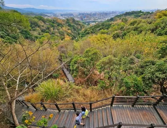 大坑9號步道