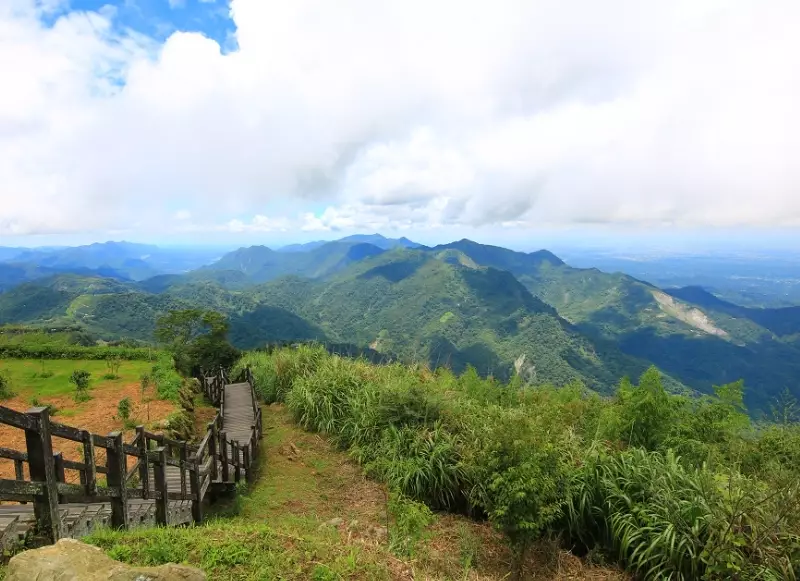 阿里山步道