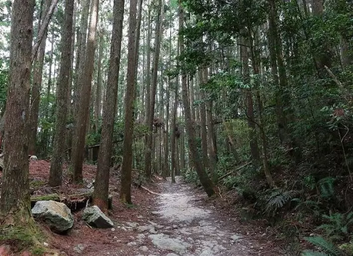 台中登山步道