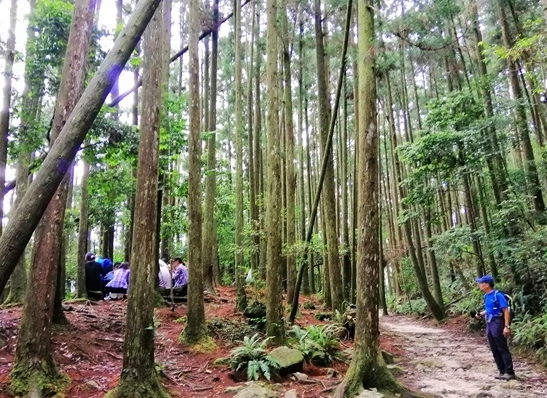 台中登山步道