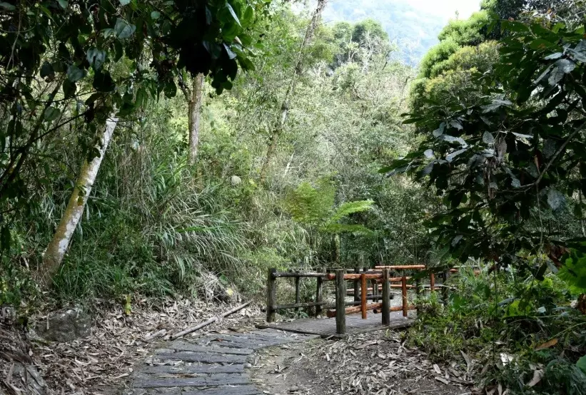 迷糊步道 交通