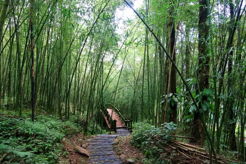 迷糊步道 路線