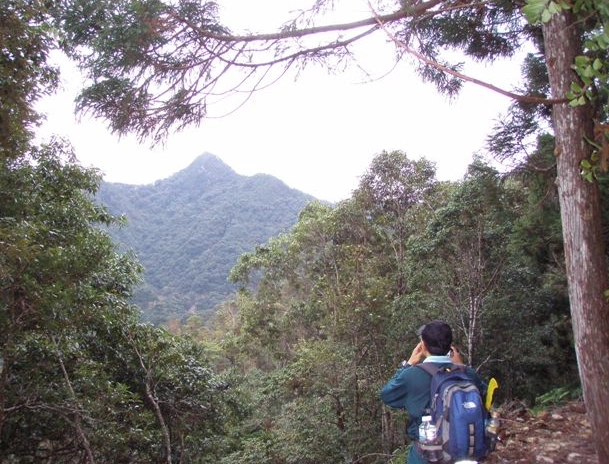 橫嶺山步道