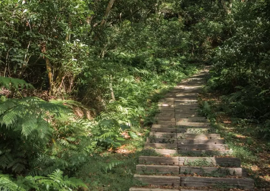 羊稠坑步道